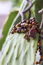 Al Mio Coraggio - immagine 5