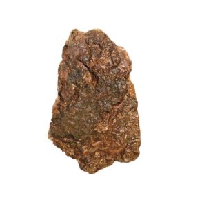 Bronzite