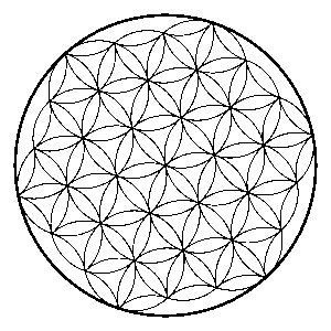 Fiore della Vita