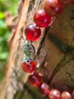 bracciale ricomincio da me