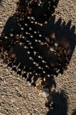 japamala 108 dhara om