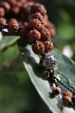 japamala 108 sacred rudraksha