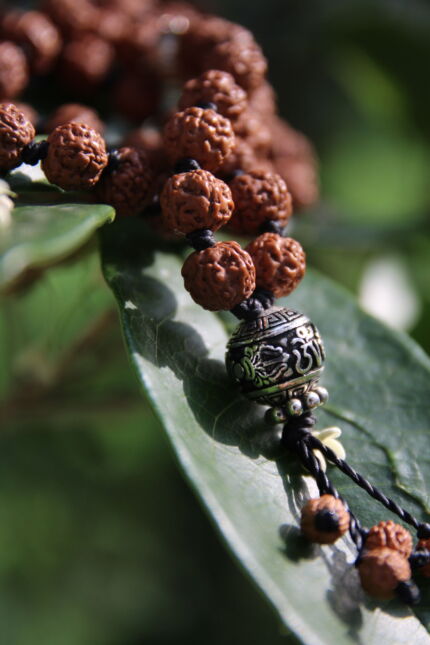 japamala 108 sacred rudraksha