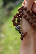 japamala 108 sacred rudraksha