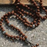 japamala 108 sacred rudraksha