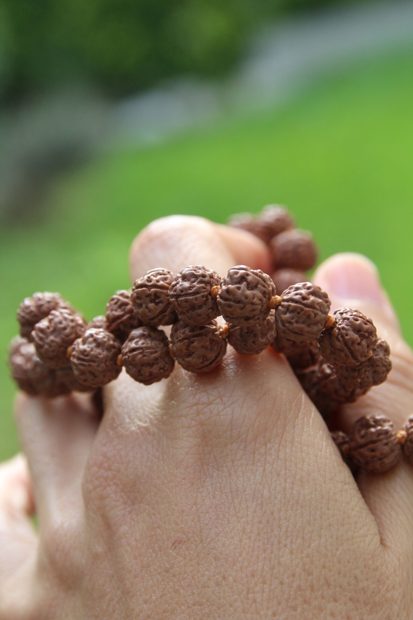 japamala 72 sacred rudraksha japamala 72 sacred rudraksha