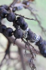 japamala 72 dhara om