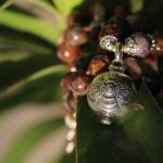 japamala nuova energia