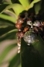 japamala nuova energia