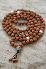 108 Sacred Rudraksha - immagine 3