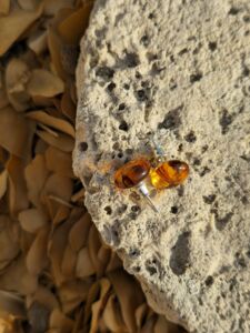 orecchini bottone ambra