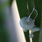 orecchini disco giada