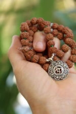 72 Sacred Rudraksha - immagine 5