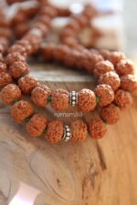72 Sacred Rudraksha - immagine 3